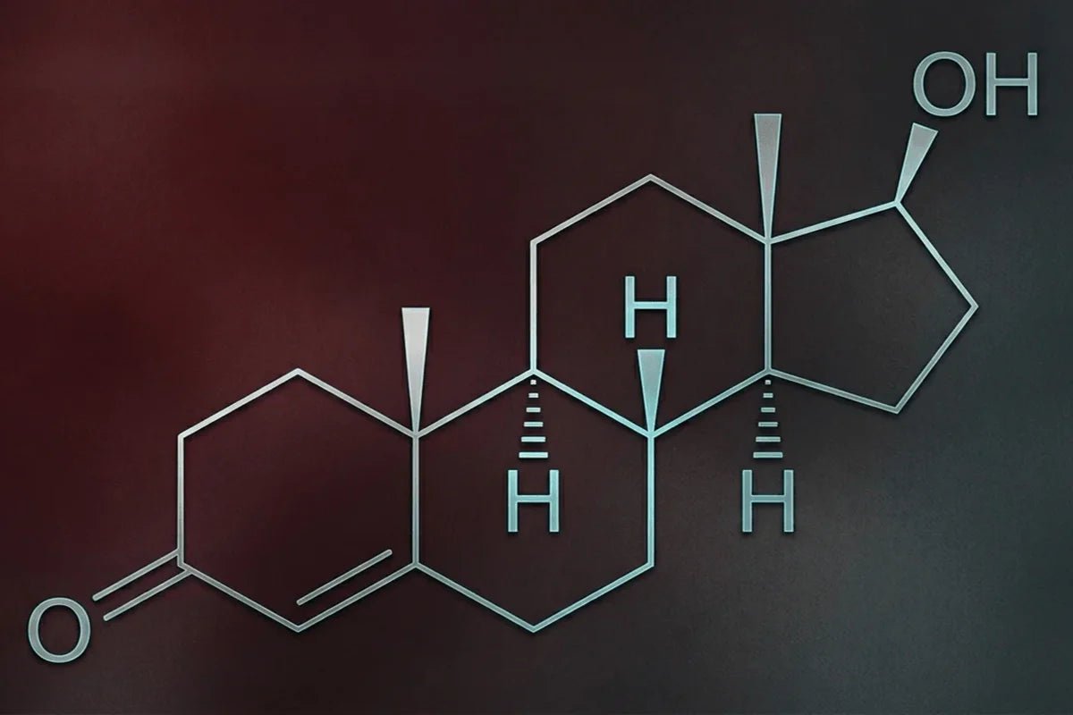 Low Testosterone Symptoms: The Signs Most Men Miss, and How to Confirm Them - FirmTech Inc